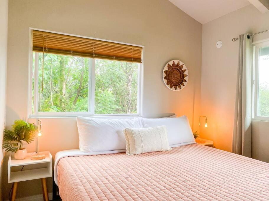 凯阿奥Hibiscus Hale, Full Kitchen, King Bed, Parking公寓 外观 照片